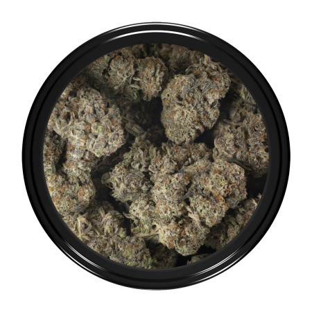 Buy Do-Si Dos Strain Online Green Society