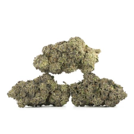 Buy Donkey Dawg Strain Online Green Society
