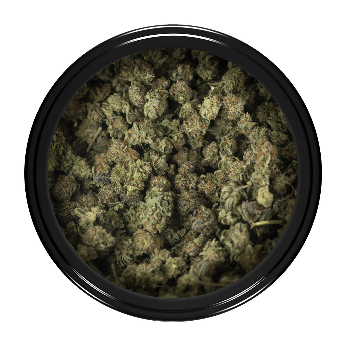 Buy Gary Payton (Popcorn) Online Green Society