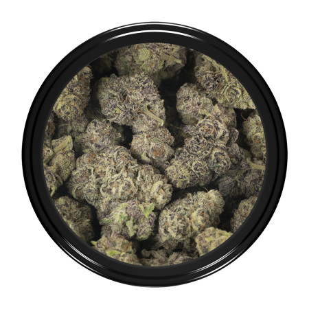Buy Gas Gummiez Strain Online Green Society