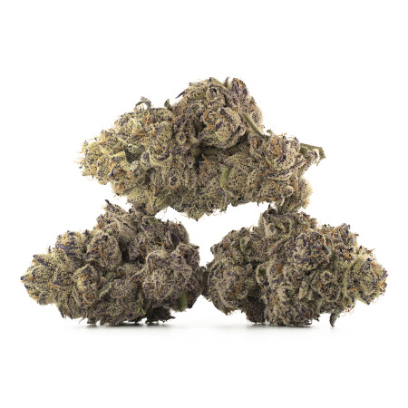 Buy Gas Gummiez Strain Online Green Society