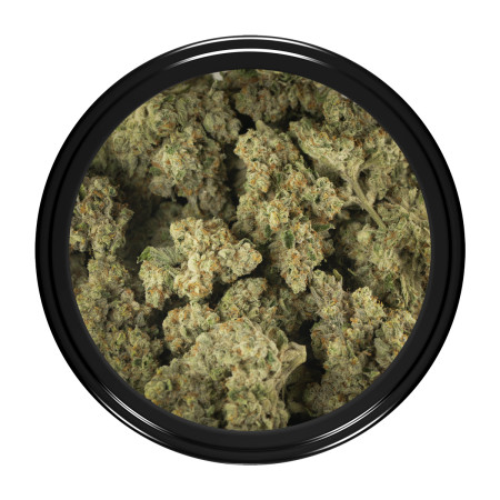 Buy Heavy Hustle Strain Online Green Society