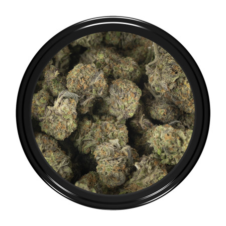 Buy Jelly Donut Strain Online Green Society