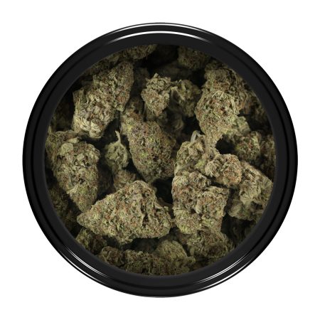 Buy Mataro Blue Strain Online Green Society