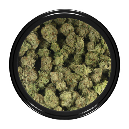 Buy OG Kush Strain Popcorn Online Green Society