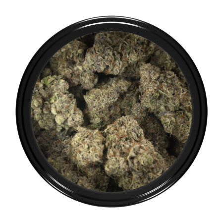 Buy Rotten Rozay Strain Online Green Society