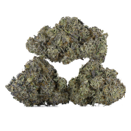 Buy Rotten Rozay Strain Online Green Society