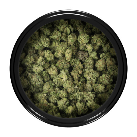 Buy SFV OG Kush (Popcorn) Online Green Society