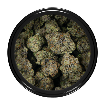 Buy 33 Splitter Strain Online Green Society