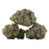 Buy 33 Splitter Strain Online Green Society