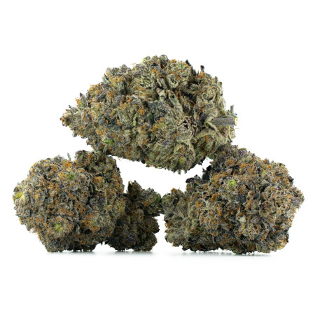 Buy 33 Splitter Strain Online Green Society