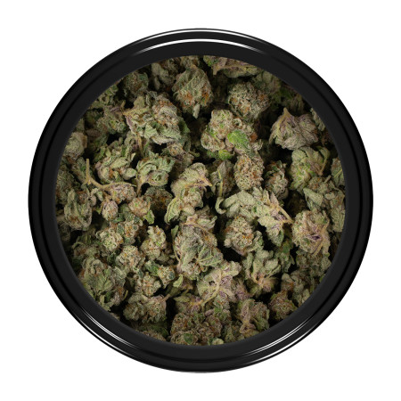 Buy Black Licorice Strain Popcorn Online Green Society