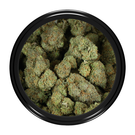 Buy Blue Lobster Strain Online Green Society