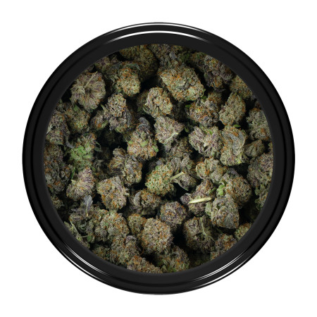 Buy Cake Crasher Strain (Popcorn) Online Green Society