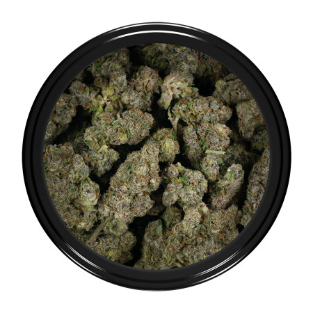 Buy Candy Store Strain Online Green Society