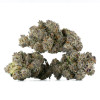 Buy Candy Store Strain Online Green Society