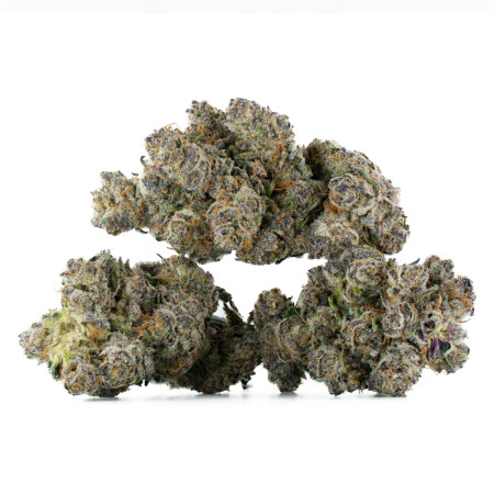 Buy Candy Store Strain Online Green Society