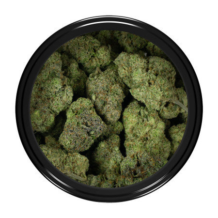 Buy Chemdawg Strain Online Green Society