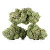 Buy Chemdawg Strain Online Green Society