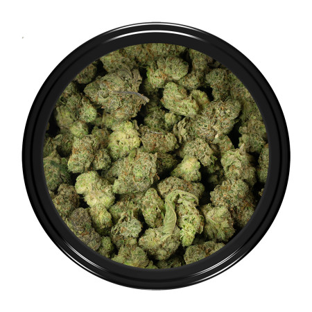 Buy Chemdawg Strain Popcorn Online Green Society