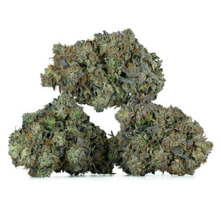 Buy Fatso Strain Online Green Society
