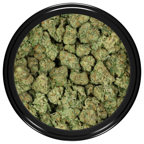 Buy Forum Cut Girl Scout Cookies Strain Online Green Society