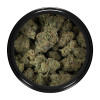 Buy Galactic Cake Strain Online Green Society