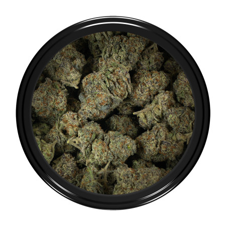 Buy Galactic Cake Strain Online Green Society
