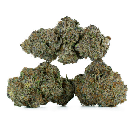 Buy Grape Gasoline Strain Online Green Society
