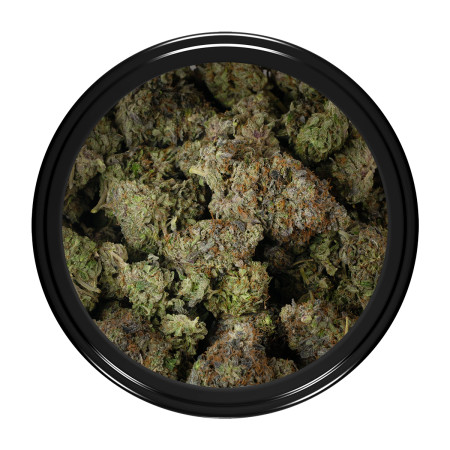 Buy Greasy Death Bubba Strain Online Green Society