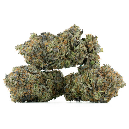 Buy Greasy Death Bubba Strain Online Green Society