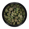 Buy Jealousy Strain (Popcorn) Online Green Society