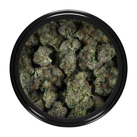 Buy Organic Pink Kush Strain Online Green Society