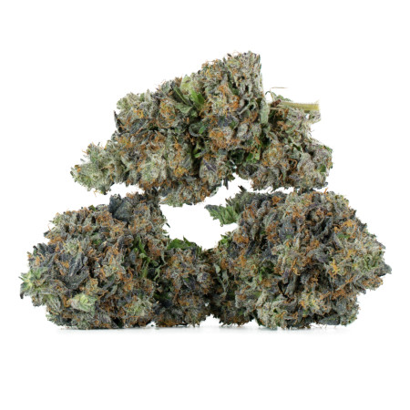Buy Organic Pink Kush Strain Online Green Society