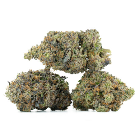 Buy Pink Caviar Strain Online Green Society