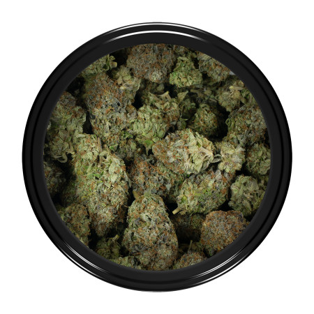 Buy Pink God Strain Online Green Society