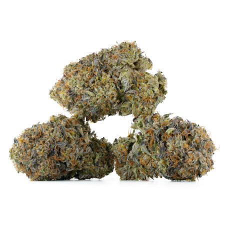 Buy Pink God Strain Online Green Society