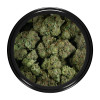 Buy Pink Gorilla Strain Online Green Society