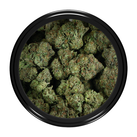 Buy Pink Gorilla Strain Online Green Society