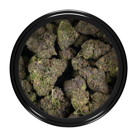 Buy Sunset Sherbet Strain Online Green Society