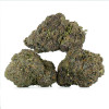 Buy Sunset Sherbet Strain Online Green Society