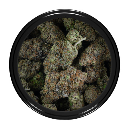 Buy Tuna God Strain Online Green Society