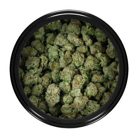 Buy White Walker Strain Popcorn Online Green Society