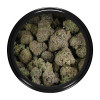 Buy Zkittlez Strain Online Green Society