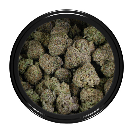 Buy Zkittlez Strain Online Green Society