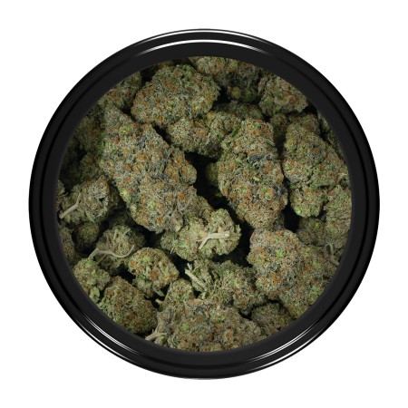 Buy Apple Crasher Strain Online Green Society