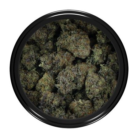 Buy Black Gas Strain Online Green Society
