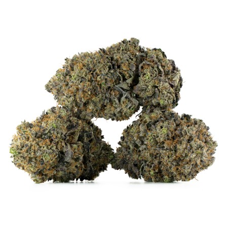 Buy Black Gas Strain Online Green Society