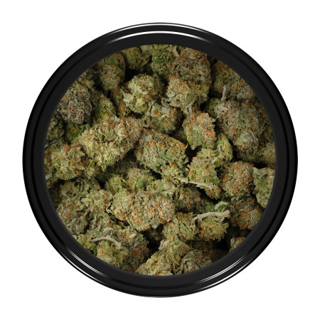 Buy Goudaberry Strain Online Green Society