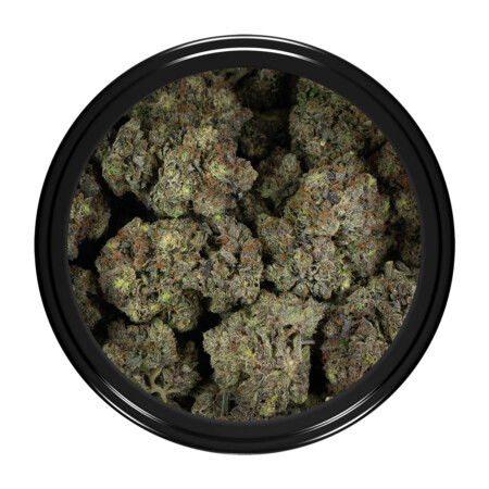 Buy King Louis XIII Strain Online Green Society
